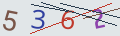 verifycode